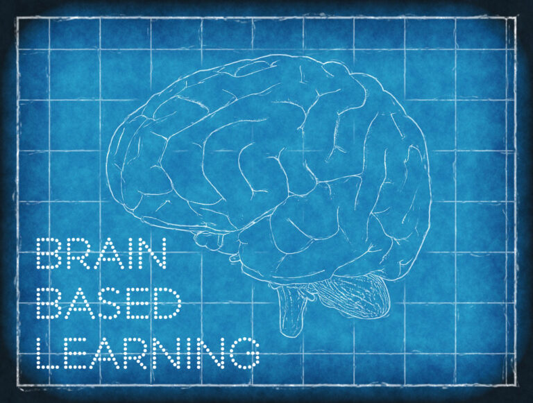 Brain-Based Learning Increasing in Popularity